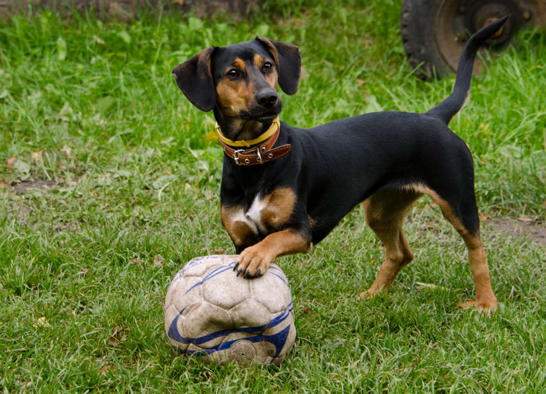 ��� ����� � ������� �����? ����� ��������� ��������� �� PhotoGeek.ru #�������� ��� #�������� ���