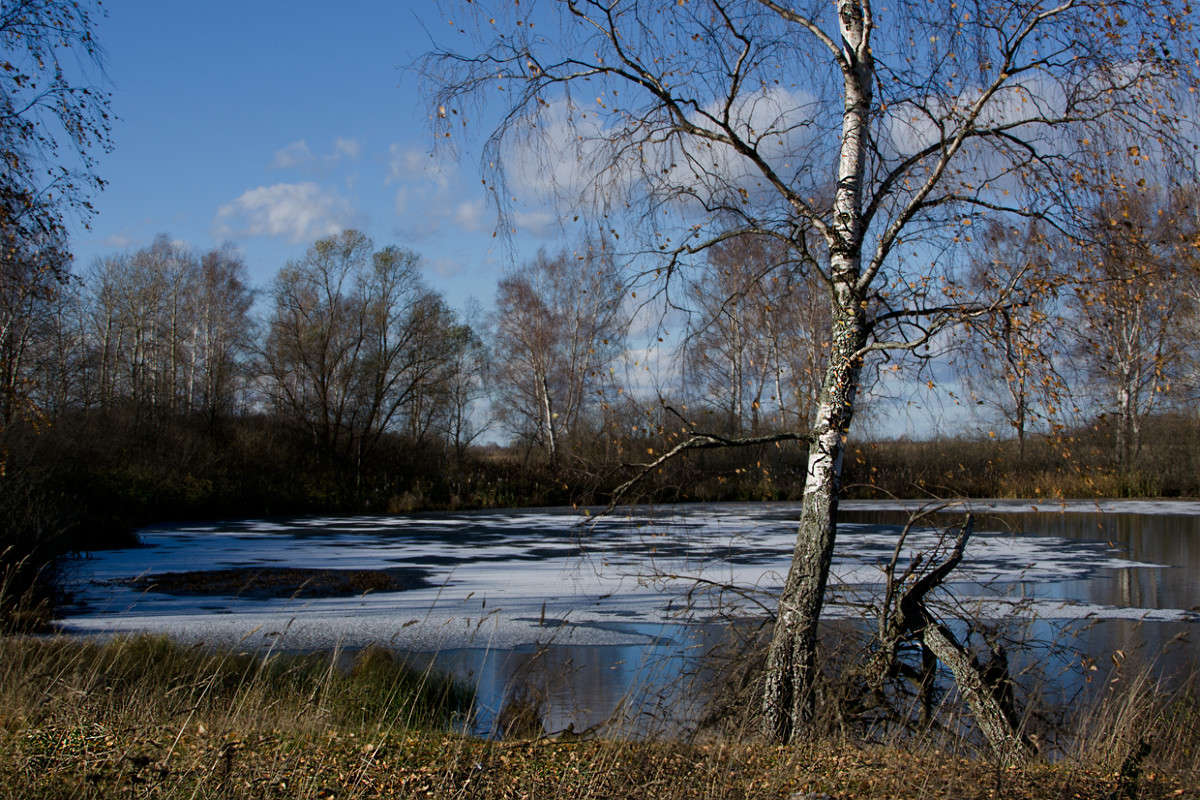 �������� ������� ����� ��������� ��������� �� PhotoGeek.ru #������ ��� �������