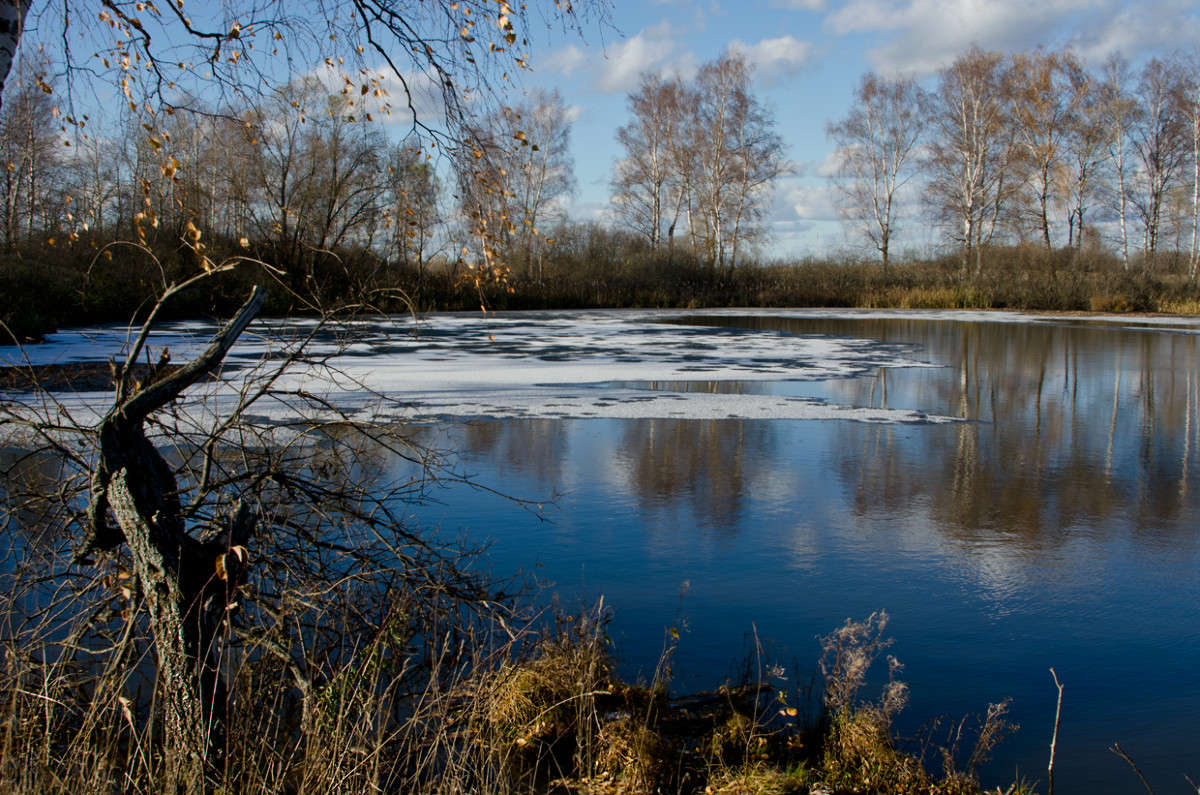 ������ ��������� ����� ��������� ��������� �� PhotoGeek.ru #������ ��� �������