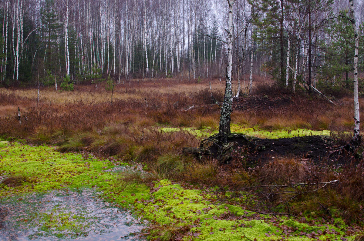 ������ � ������ ����� ��������� ��������� �� PhotoGeek.ru #������ ��� �������