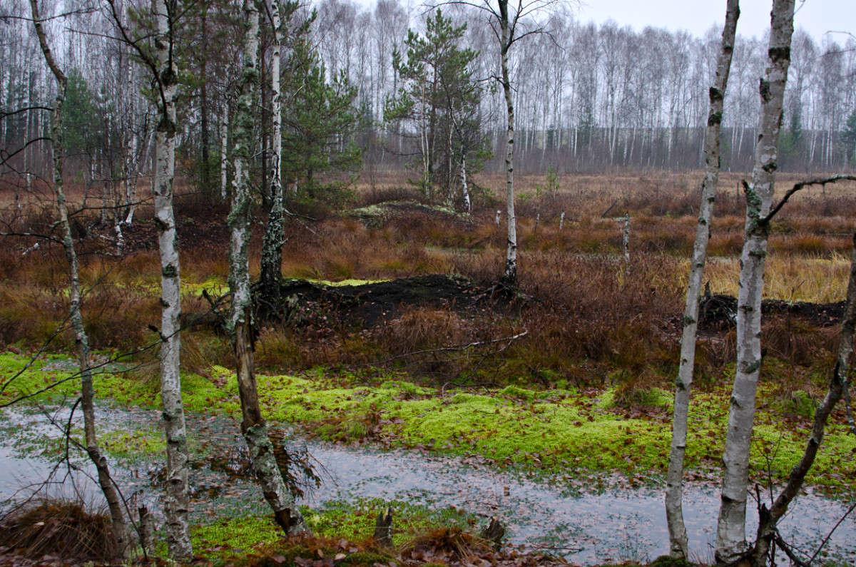 ������ � ������ ����� ��������� ��������� �� PhotoGeek.ru #������ ��� �������