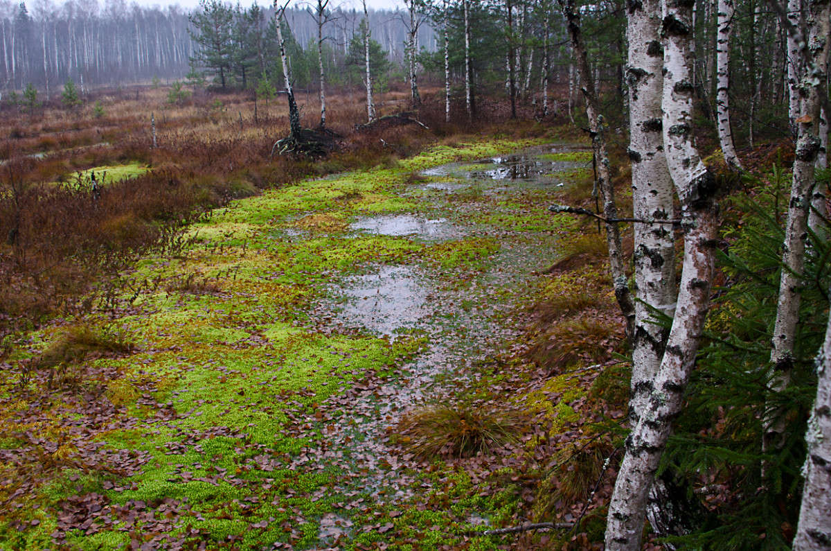 ������ � ������ ����� ��������� ��������� �� PhotoGeek.ru #������ ��� �������