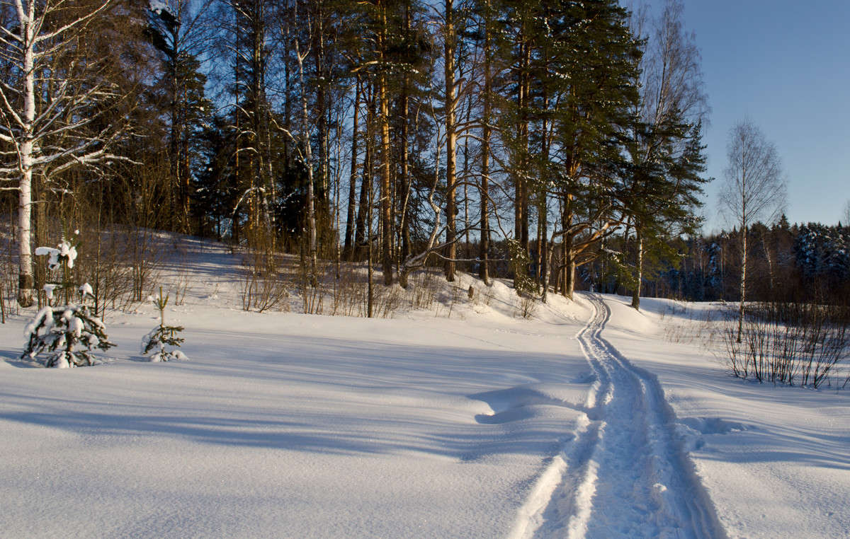 �������� �� ���� ����� ��������� ��������� �� PhotoGeek.ru #������ ��� �������