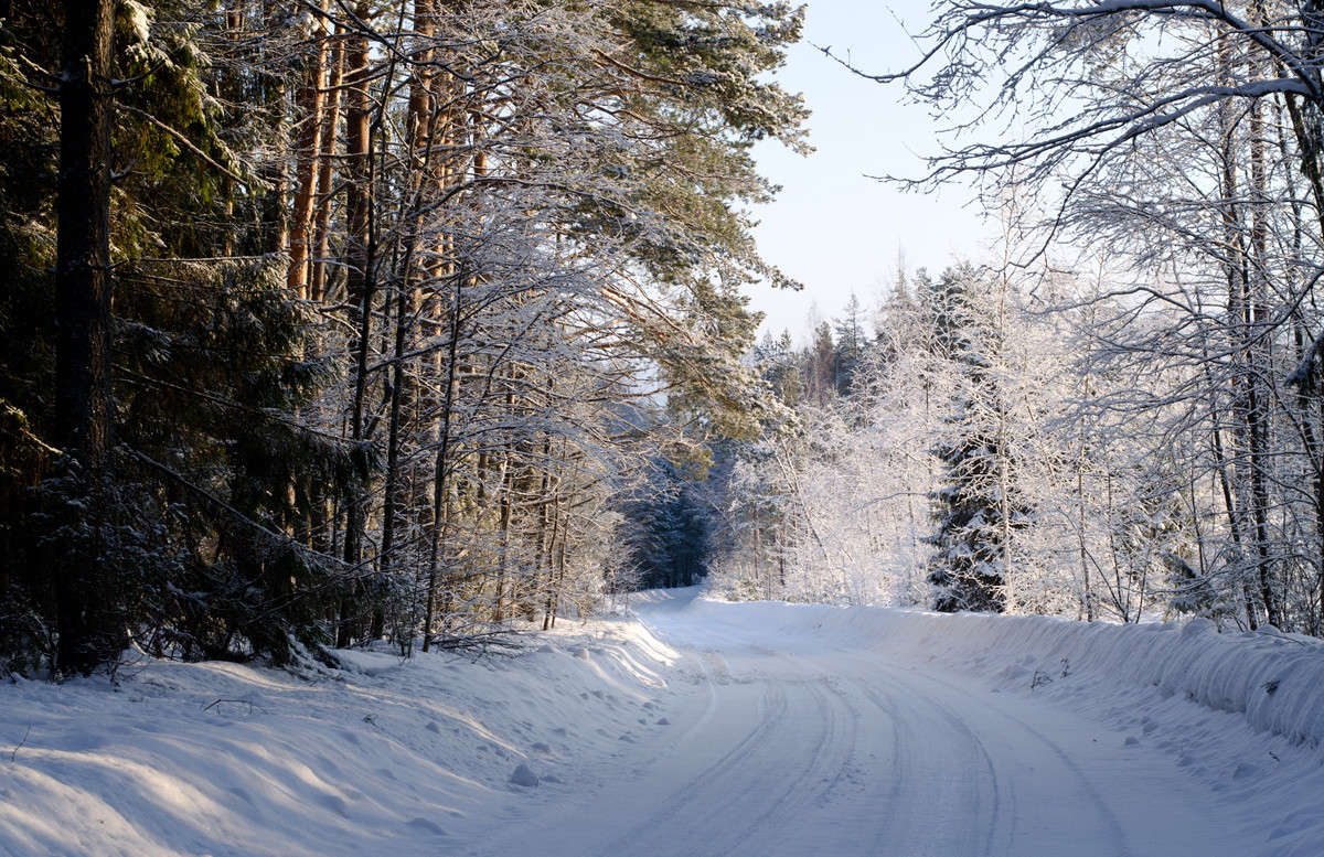 ������ ������ ����� ��������� ��������� �� PhotoGeek.ru #������ ��� �������