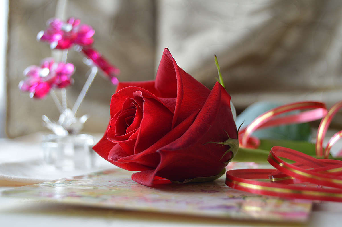 ����... ����� ������  �� PhotoGeek.ru #��������� #�������������