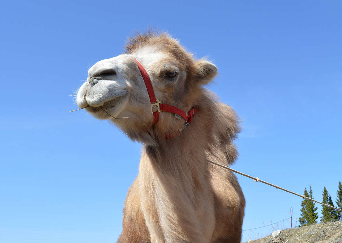 ������� ����� ������  �� PhotoGeek.ru #�������� ��� #�������� ���