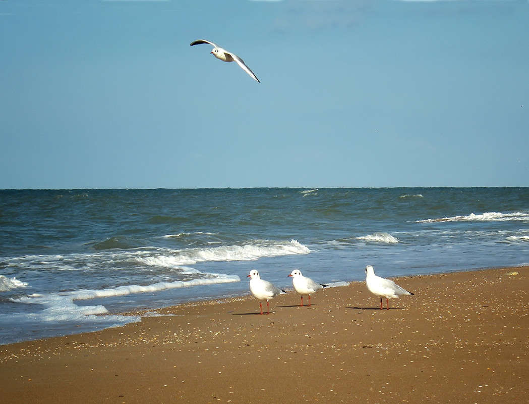 ����� ����� ������  �� PhotoGeek.ru #�������� ��� #����� ��� ��� ���������