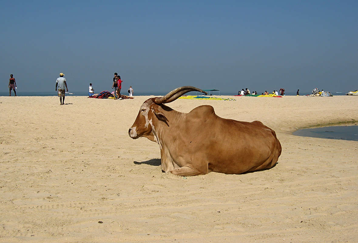 ��������� �������� ����� ����� ������  �� PhotoGeek.ru #�������� ��� #�������� ���