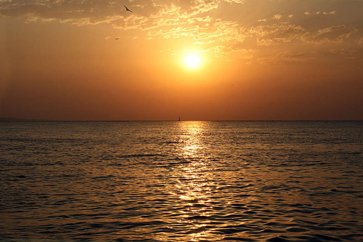 ����� �� �������� ���� ����� ������  �� PhotoGeek.ru #������ ��� �������