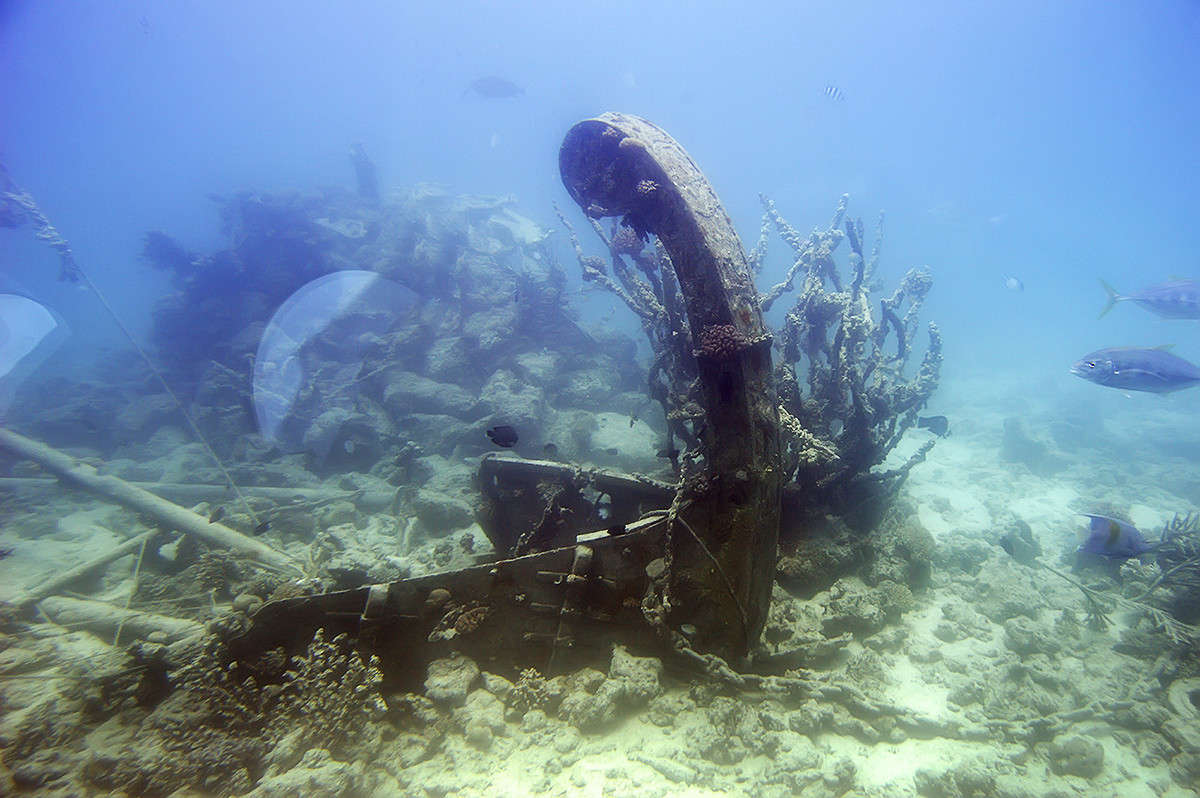 ��� ����� ����� ������  �� PhotoGeek.ru #������ ��� ������� #����� ��������