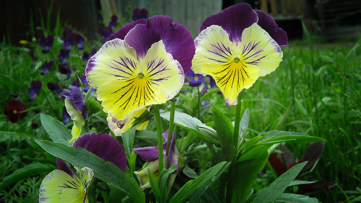 ��� �������� ����� ������  �� PhotoGeek.ru #������ ��� �������