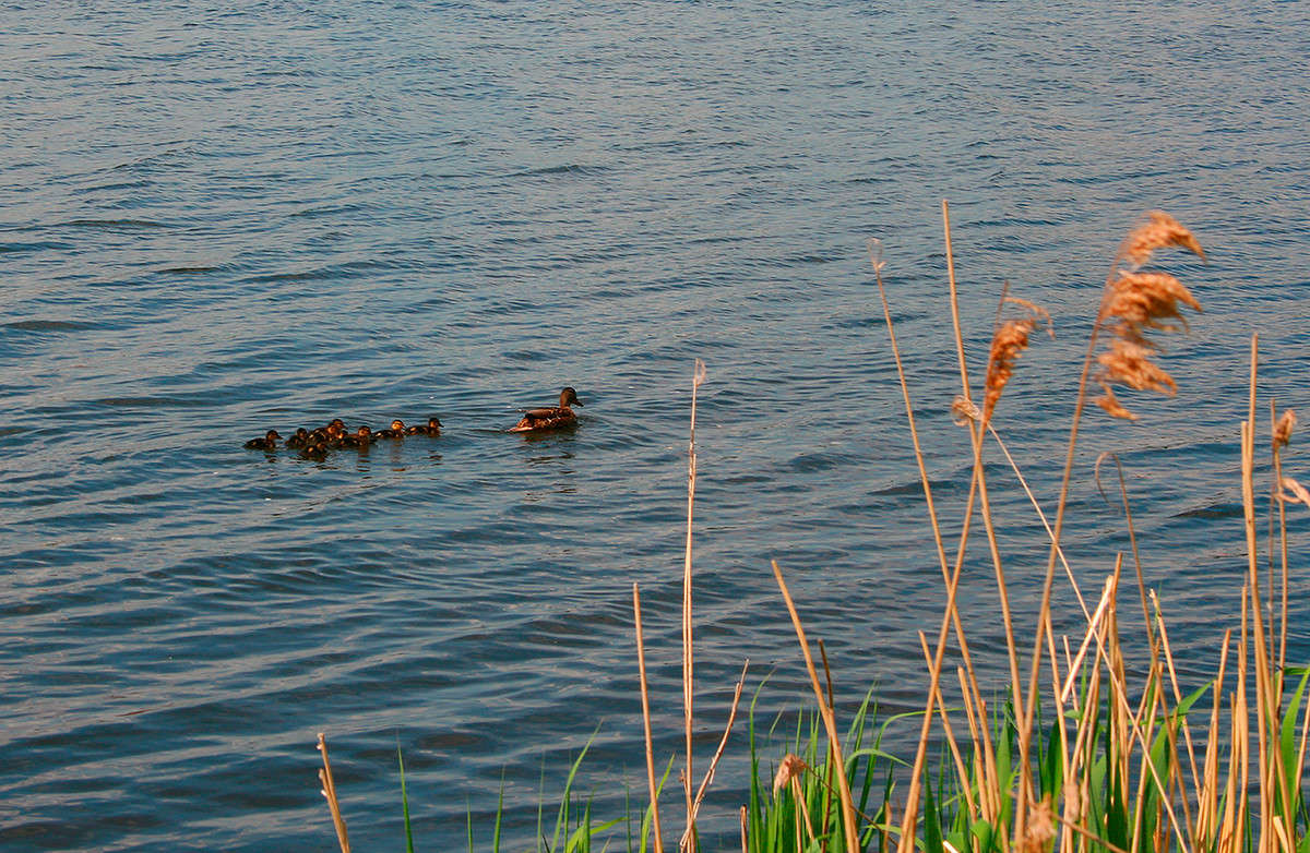 ��������� ����� ������  �� PhotoGeek.ru #�������� ���