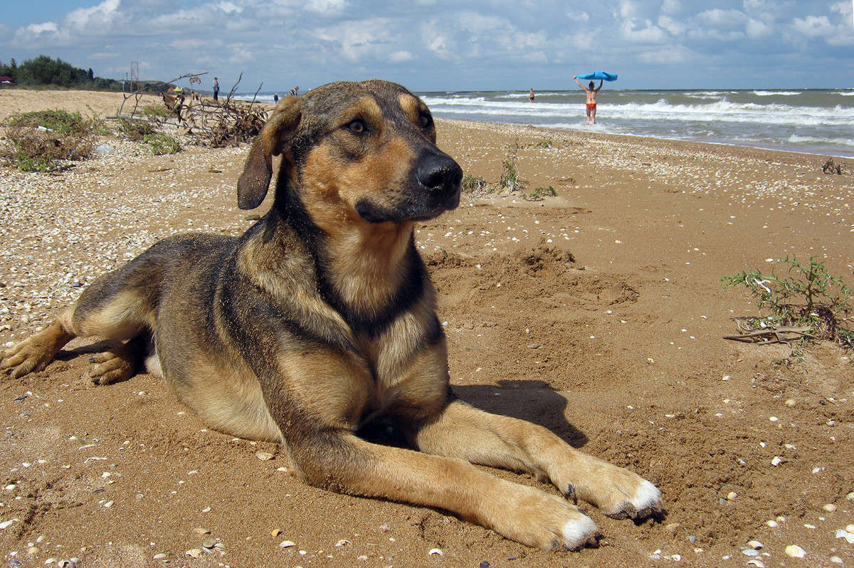 ���� ���� �������� ����� ������  �� PhotoGeek.ru #�������� ���