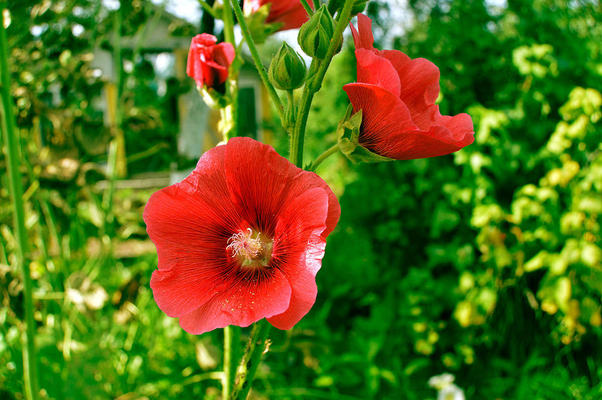 ... ����� ������  �� PhotoGeek.ru #������ ��� �������