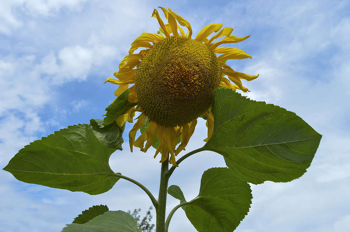 �������� ����� ������� ����� ������  �� PhotoGeek.ru #������ ��� �������