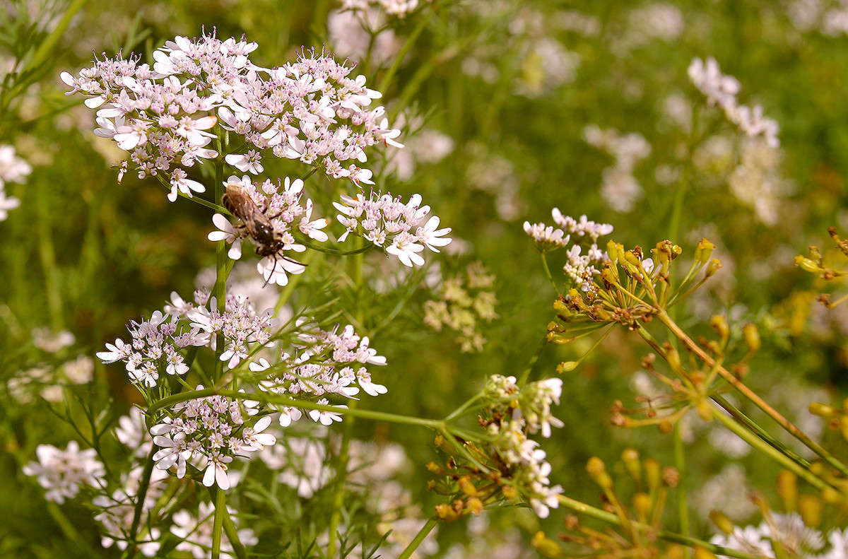 �������� ������� ����� ������  �� PhotoGeek.ru #������ ��� �������