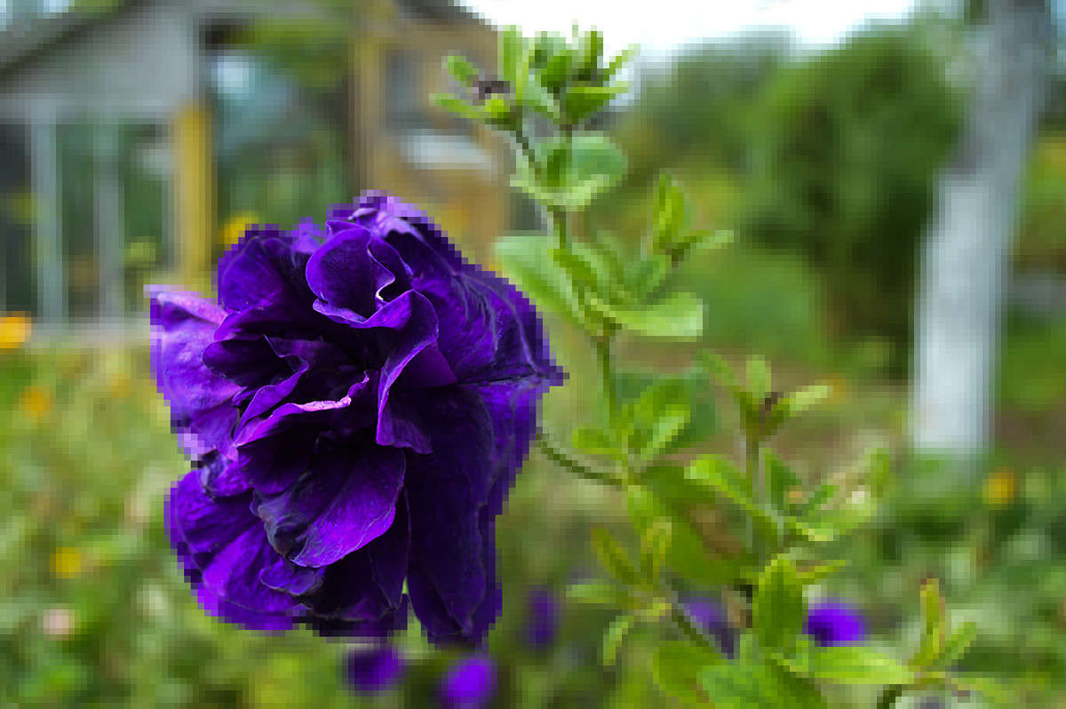 ������������ ����� ������  �� PhotoGeek.ru #������