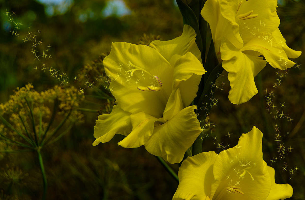 ������� �������� ����� ������  �� PhotoGeek.ru #������ #������ ��� �������