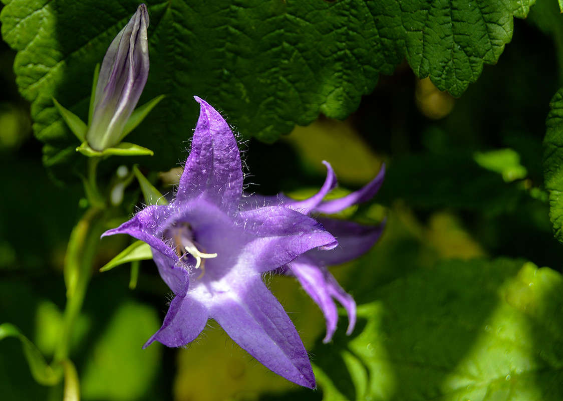 ����������� ����� ������  �� PhotoGeek.ru #������ ��� �������