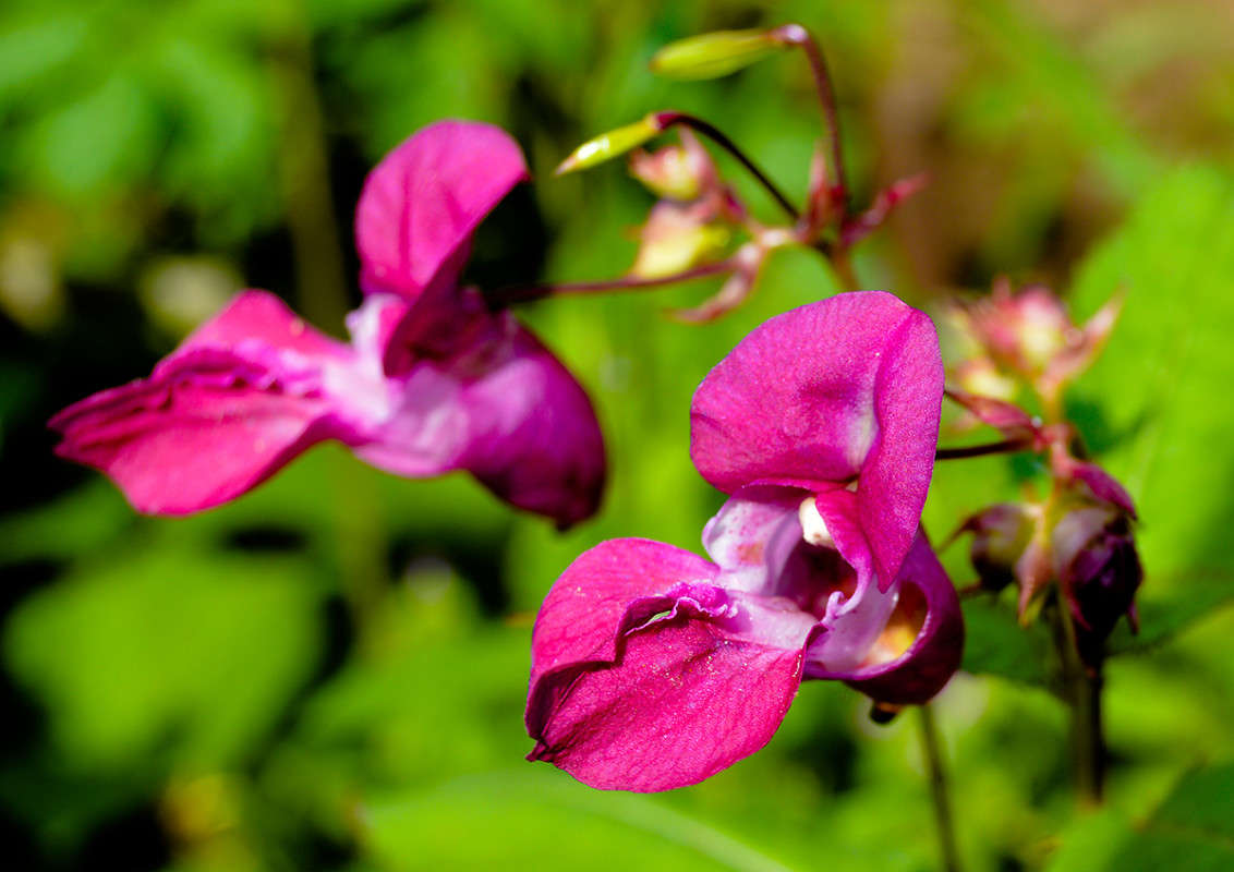 ������� ����� ������  �� PhotoGeek.ru #������ ��� �������