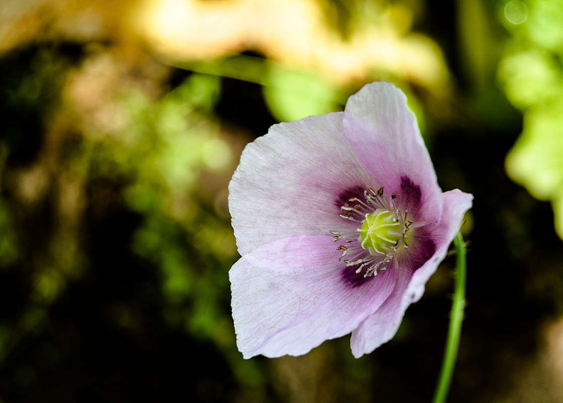 ��� ����� ������  �� PhotoGeek.ru #������ ��� �������