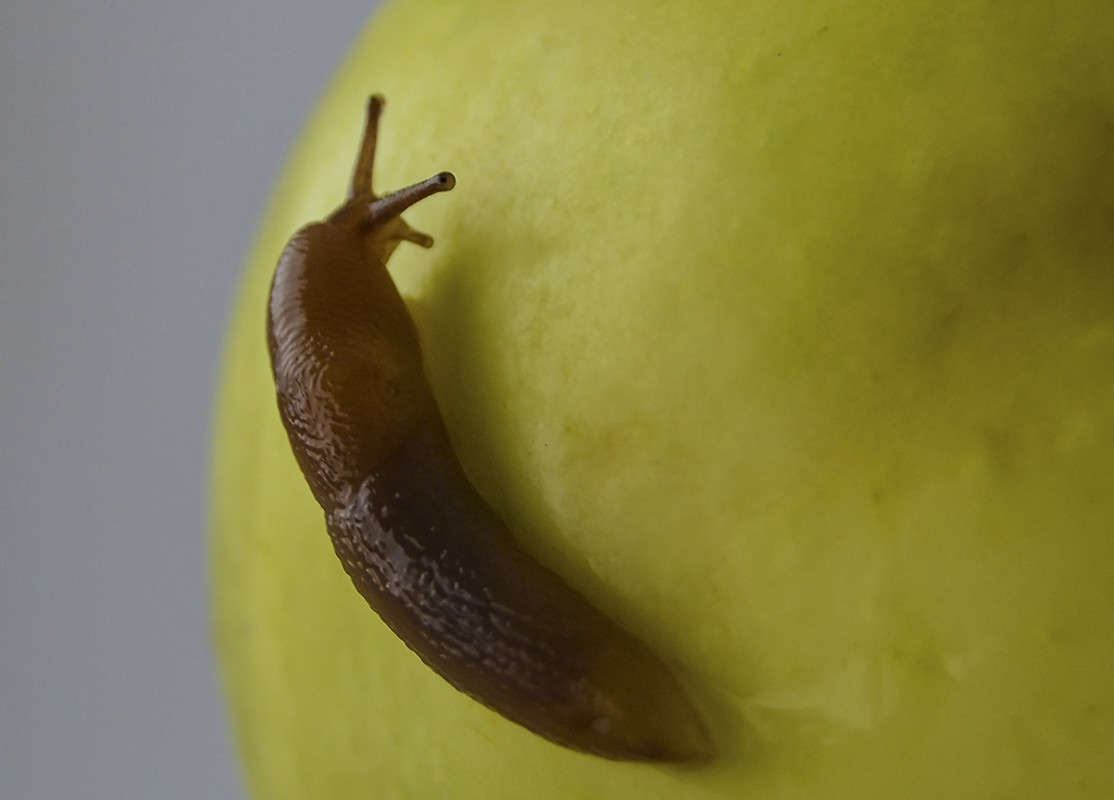 ������ ����� ������  �� PhotoGeek.ru #�������� ���