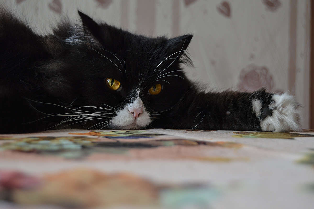 ����� �� ����� ���������� ����� ������  �� PhotoGeek.ru #�������� ���