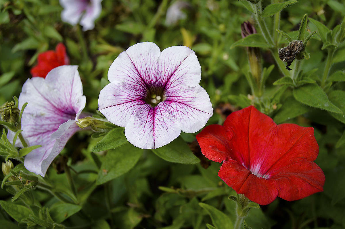 ��� �������� ����� ������  �� PhotoGeek.ru #������ ��� �������