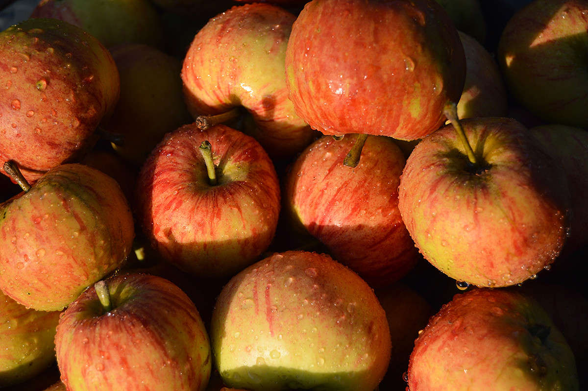 �������� ���� ����� ������  �� PhotoGeek.ru #������ ��� �������