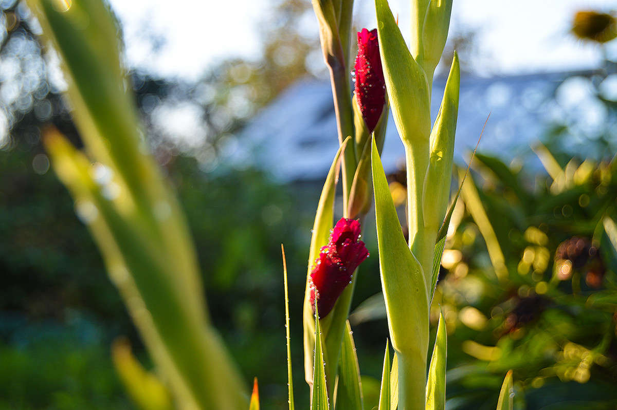 ������� ������ ����� ������  �� PhotoGeek.ru #������ ��� �������