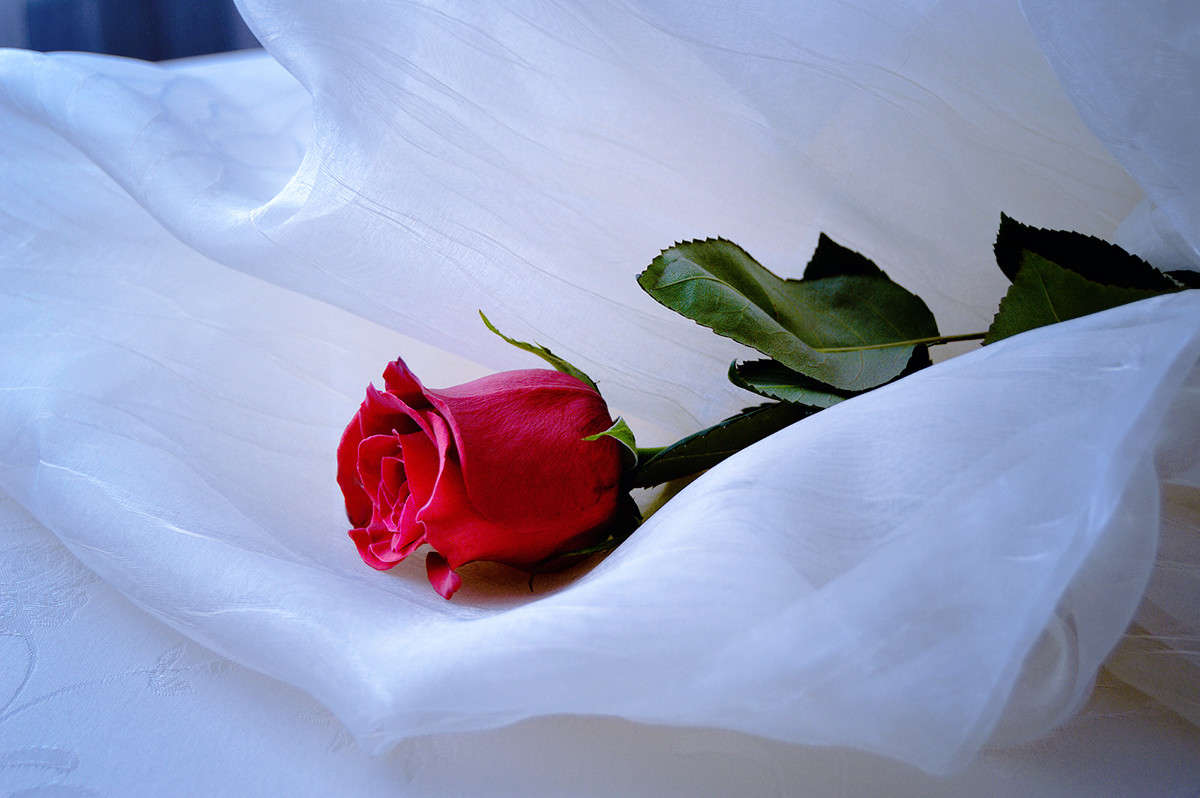 ... ����� ������  �� PhotoGeek.ru #��������� #�������������