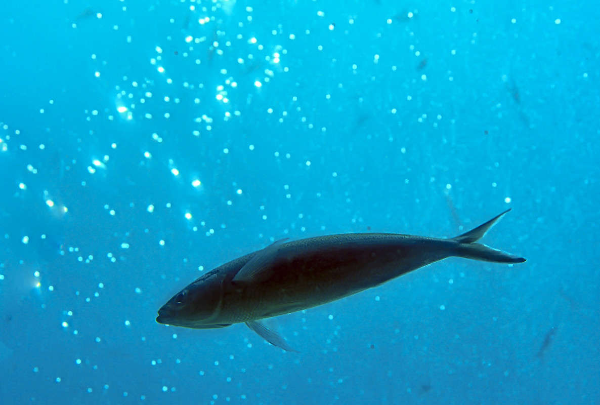 ... ����� ������  �� PhotoGeek.ru #�������� ���