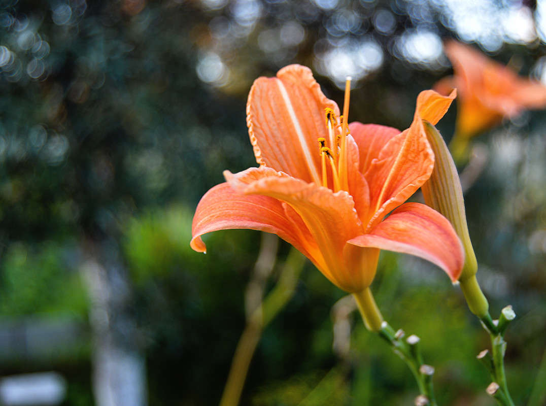 ... ����� ������  �� PhotoGeek.ru #������ ��� �������