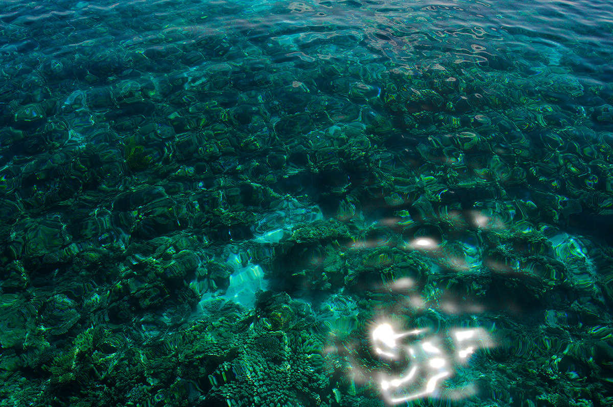 ... ����� ������  �� PhotoGeek.ru #������ ��� �������