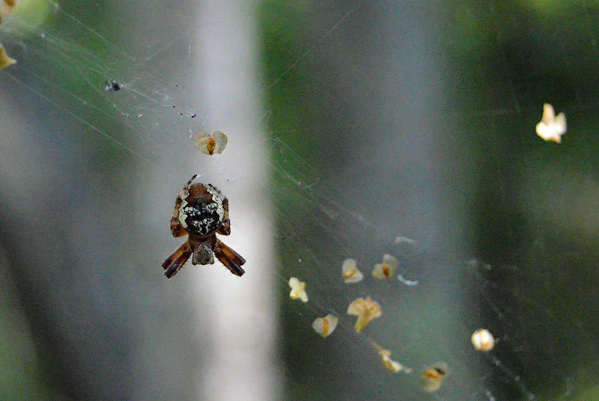 ������ ����� ������  �� PhotoGeek.ru #�������� ��� #����� ��� ��� ���������