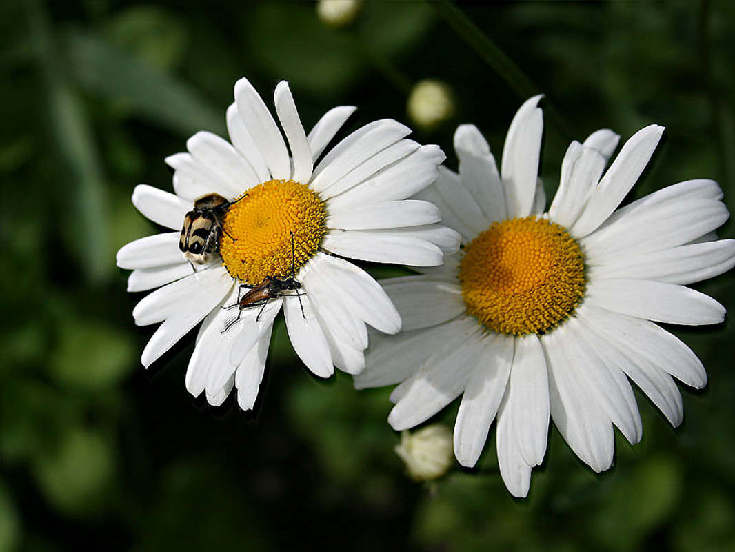 ����� ���������� ����� ������  �� PhotoGeek.ru #������ ��� �������