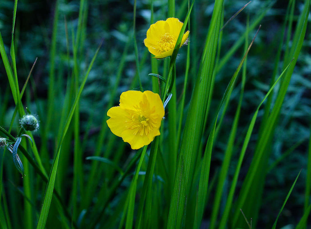 ����� ������ ����� ������  �� PhotoGeek.ru #������ ��� �������