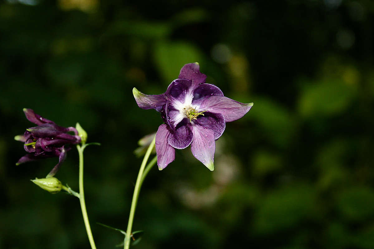 ... ����� ������  �� PhotoGeek.ru #������ ��� �������