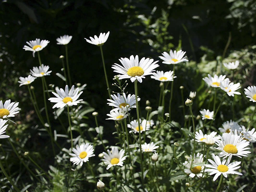 ������� ����� ������  �� PhotoGeek.ru #������ ��� �������