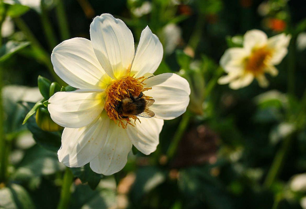 �������� ����� ������  �� PhotoGeek.ru #������ ��� �������