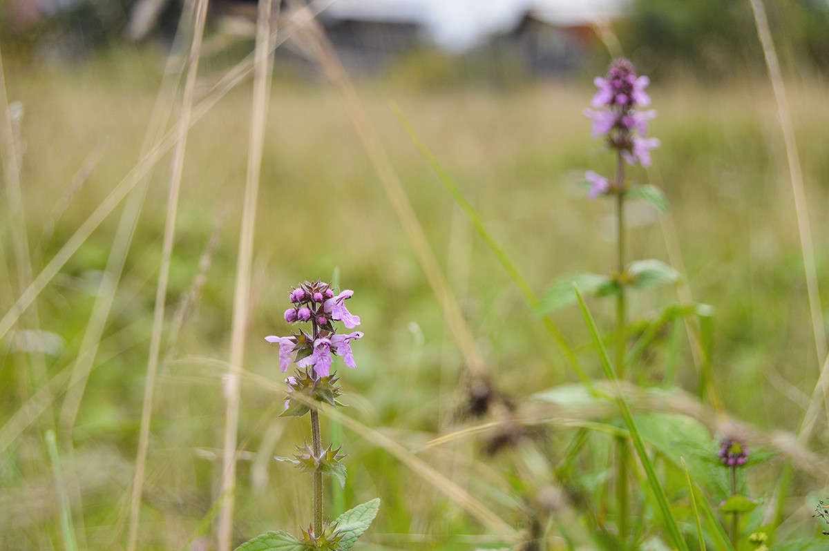 ������� �������� ����� ������  �� PhotoGeek.ru #������ ��� �������