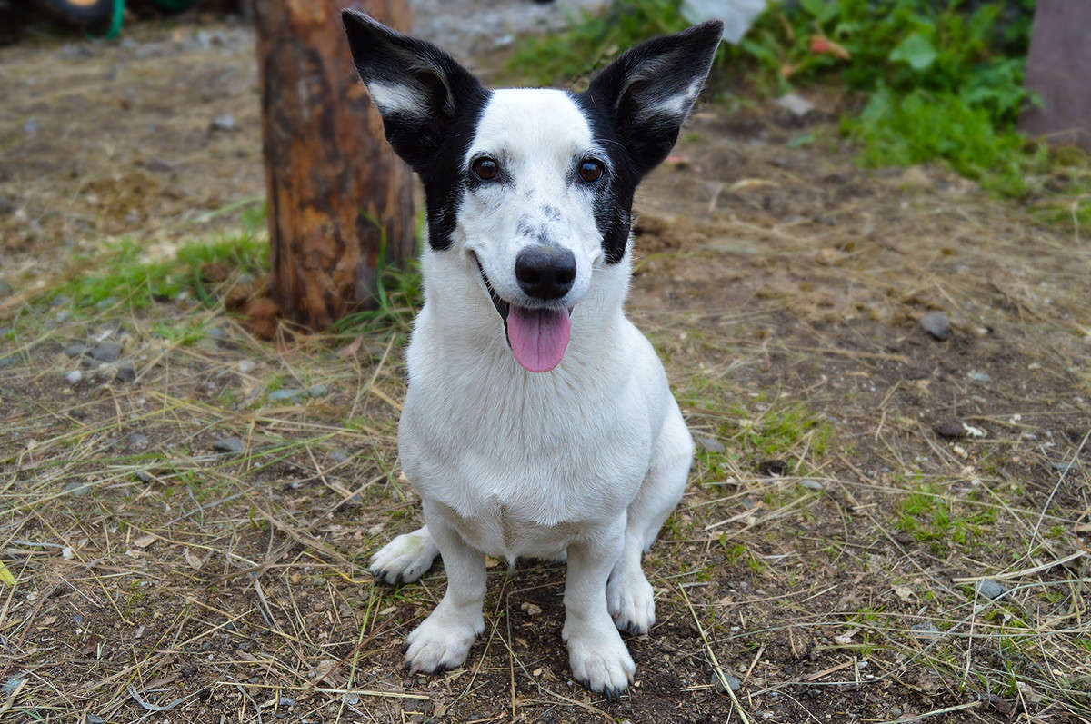 ��������! ������! ����� ������  �� PhotoGeek.ru #�������� ��� #�������