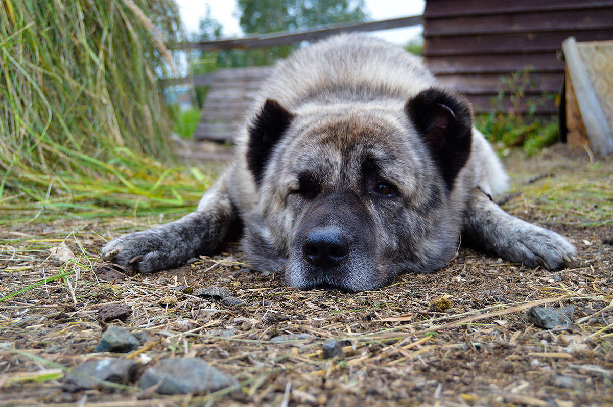 ���� ���� ����, � ������ �������� ����� ������  �� PhotoGeek.ru #�������� ��� #�������