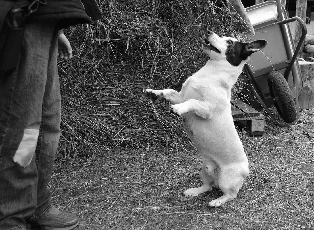 ... ����� ������  �� PhotoGeek.ru #�������� ���