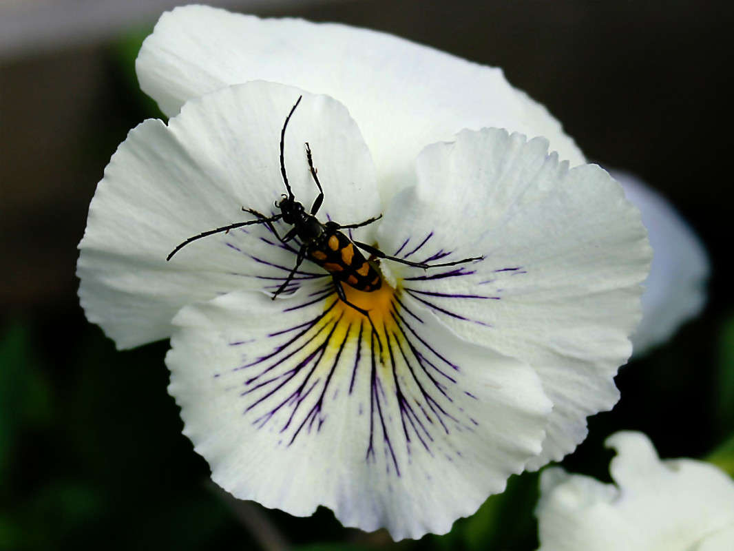 ... ����� ������  �� PhotoGeek.ru #������ ��� �������