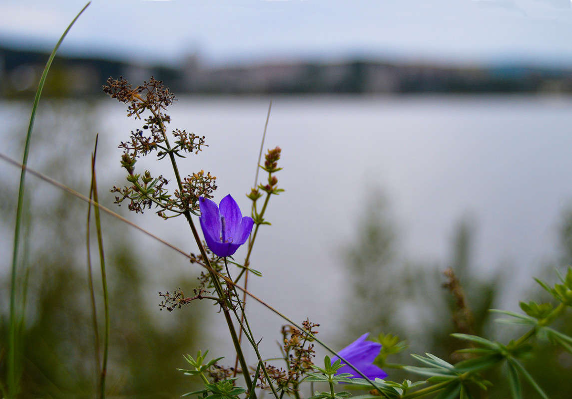 ��������-������������ ����� ������  �� PhotoGeek.ru #������ ��� �������