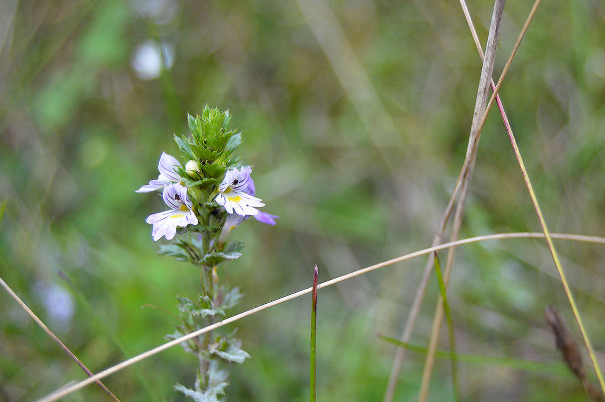 ... ����� ������  �� PhotoGeek.ru #������ ��� �������