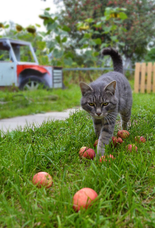 ��� ������ ����� ������  �� PhotoGeek.ru #�������� ���