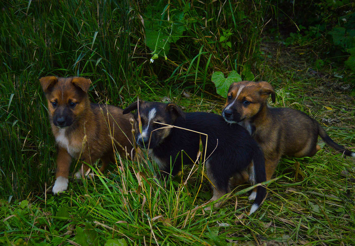 ������ ����� ������  �� PhotoGeek.ru #�������� ���