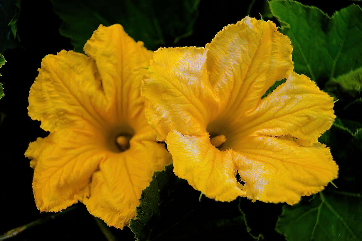 ... ����� ������  �� PhotoGeek.ru #������ ��� �������